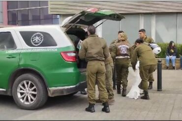 Carabineros en procedimiento de evacuación del Mall del Trébol, Concepción