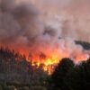 Incendios Forestales son parte de las potenciales emergencias identificadas según CORFO || Cedida
