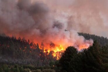 Incendios Forestales son parte de las potenciales emergencias identificadas según CORFO || Cedida