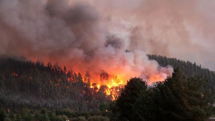 Incendios Forestales son parte de las potenciales emergencias identificadas según CORFO || Cedida