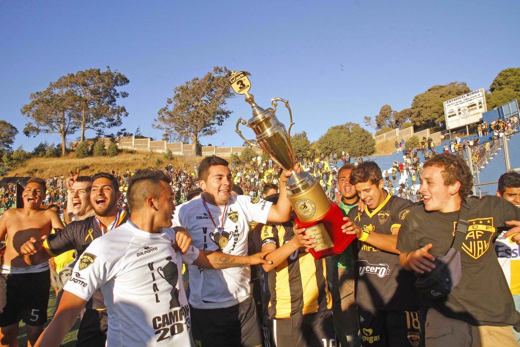 Fernández Vial campeón de Tercera División A año 2013 || Diario Concepción