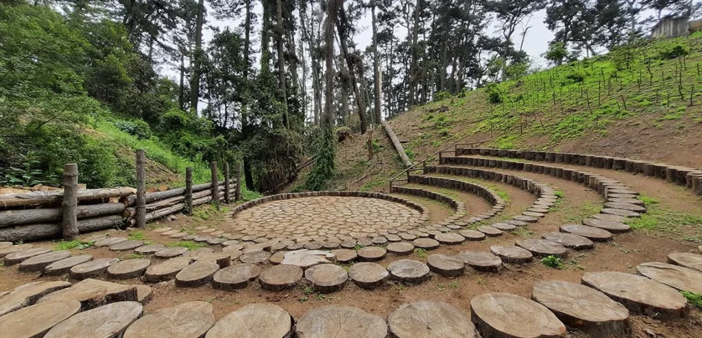 Lamentablemente, pese a a la apertura del Cerro Caracol los visitantes no podrán llegar a este foro de troncos. Las visitas están limitadas por precaución / La imagen corresponde a una Captura RRSS