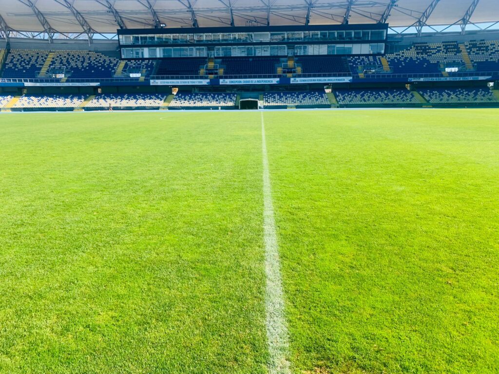 Cancha Estadio Ester Roa