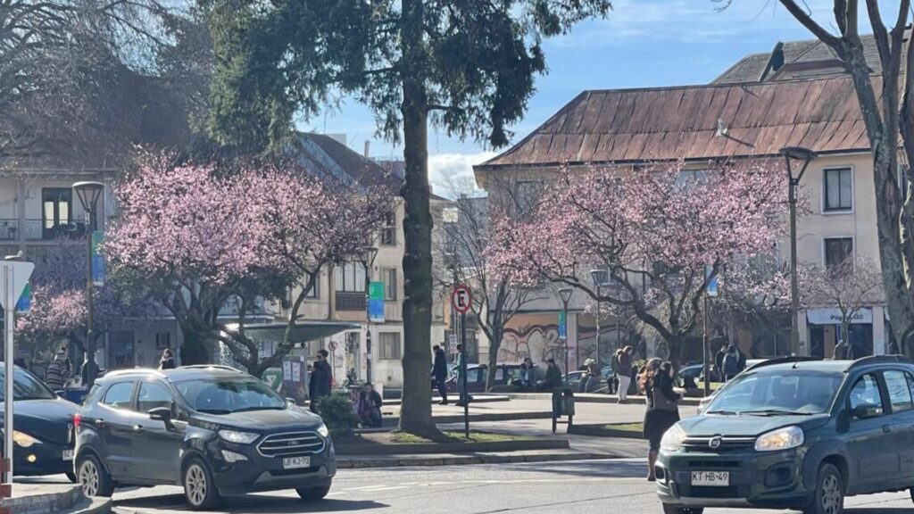 Primavera en Plaza Perú de Concepción