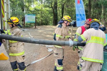 Bomberos en el Cerro Caracol de Concepción