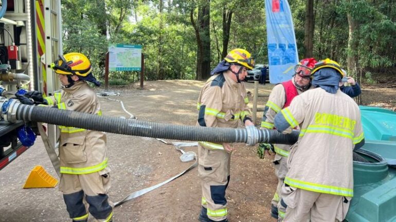 Bomberos en el Cerro Caracol de Concepción