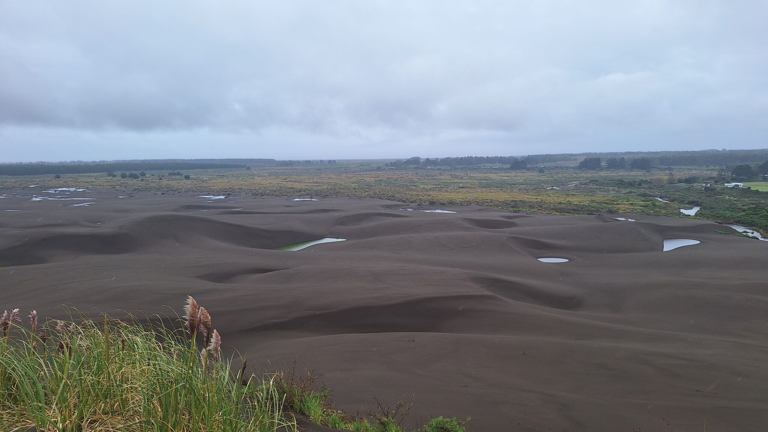 Dunas de Pangue desde otra mirada.