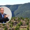 Rodrigo Díaz y el Negocio Forestal en el Biobío