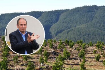 Rodrigo Díaz y el Negocio Forestal en el Biobío