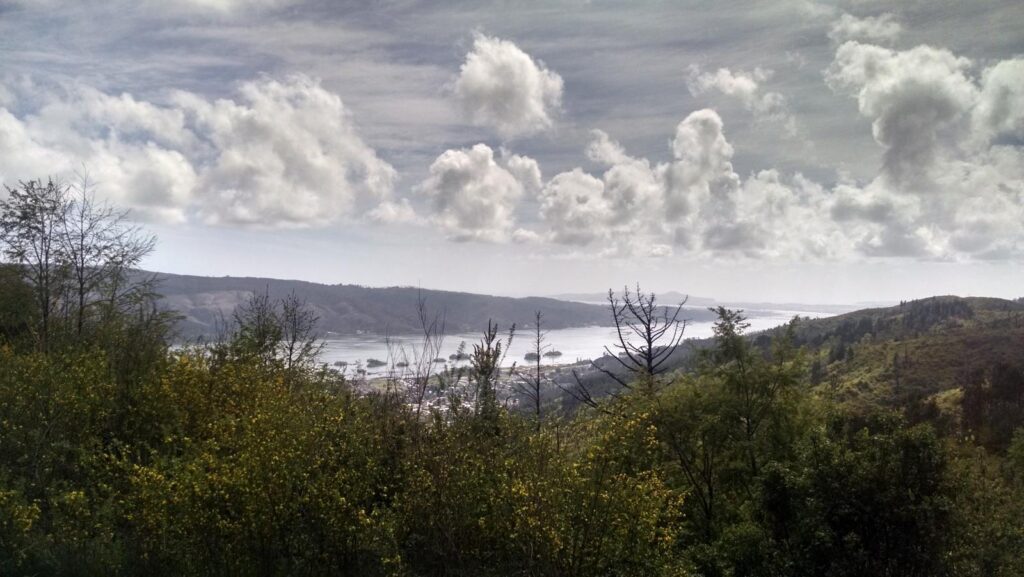 Los Cerros de Chiguayante