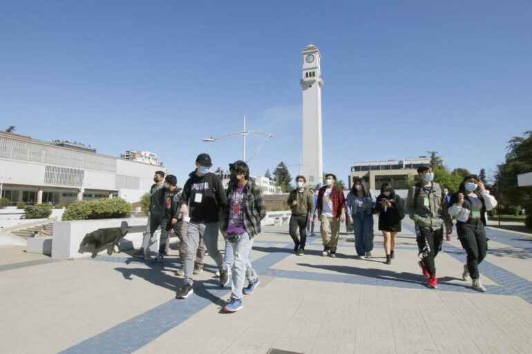 Estudiantes UdeC Stock FUAS