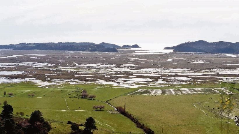 Panorámica del Humedal Tubul Raqui