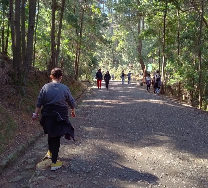 Parque Cerro Caracol