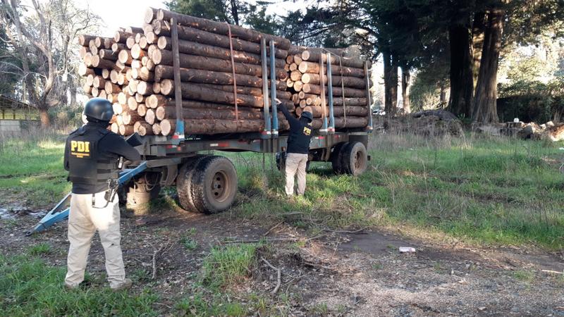 Fiscalización PDI por robo de madera