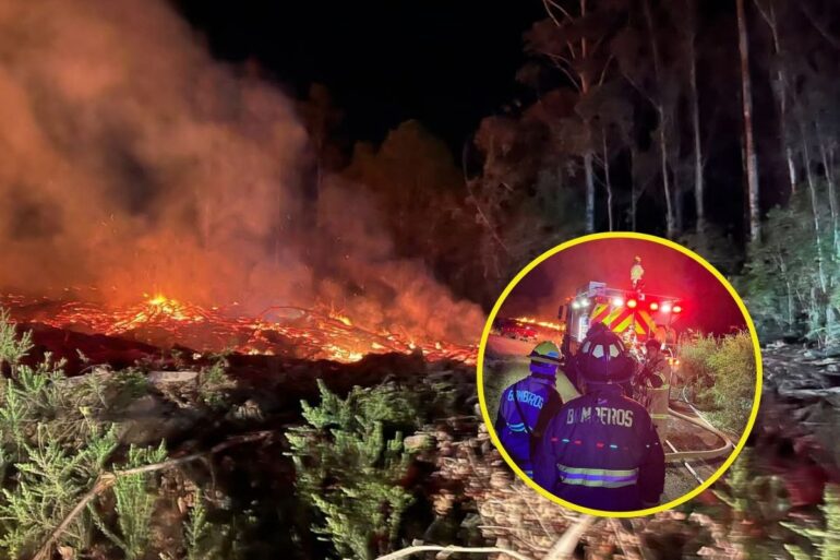 Incendio Forestal, Alerta Roja en Chiguayante