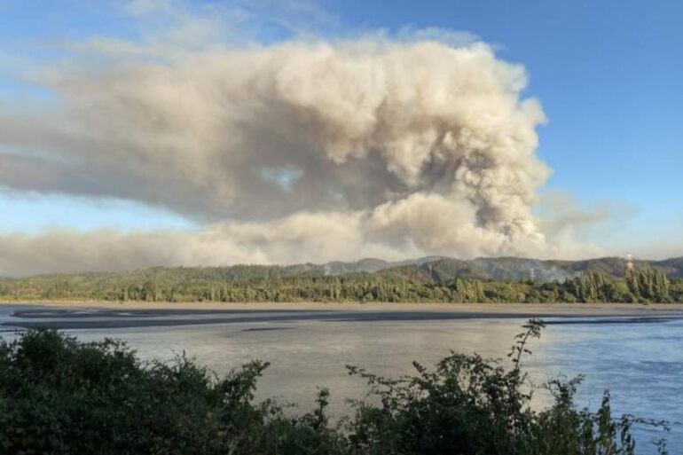 Hualqui incendio