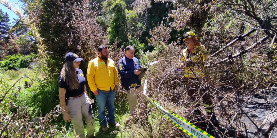 PDI y Conaf investigan incendio forestal Los Álamos