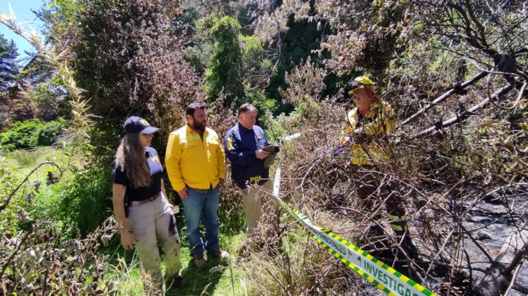 PDI y Conaf investigan incendio forestal Los Álamos