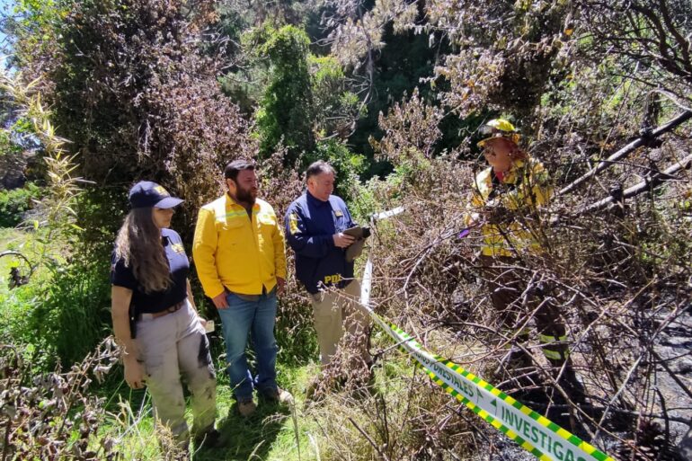 PDI y Conaf investigan incendio forestal Los Álamos