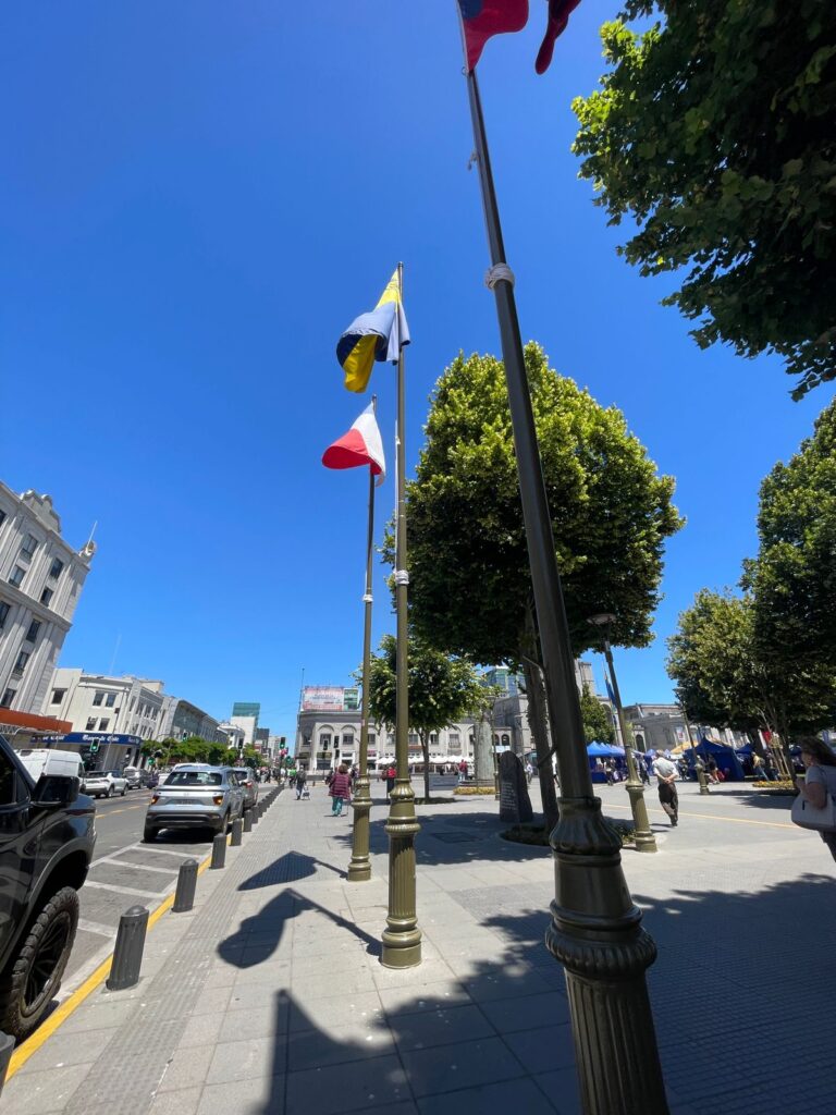 bandera mapuche