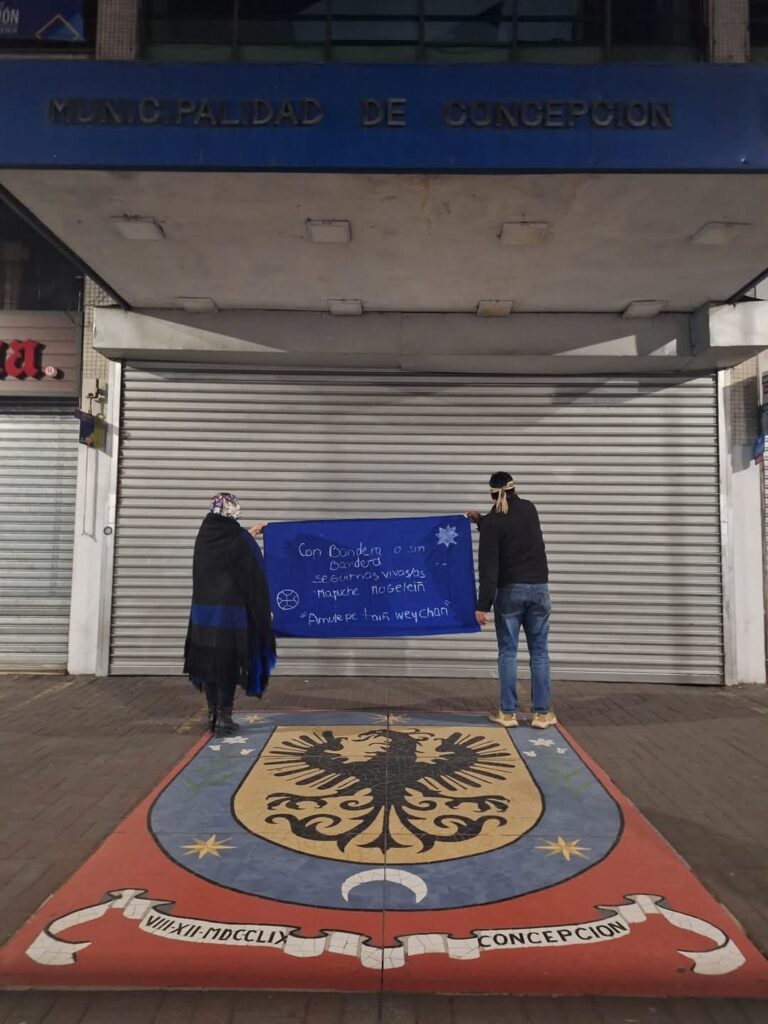 bandera mapuche