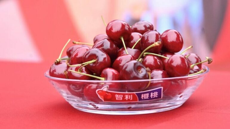 Cerezas chilenas en China