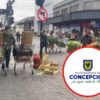 Comercio Ambulante calle Freire Concepción