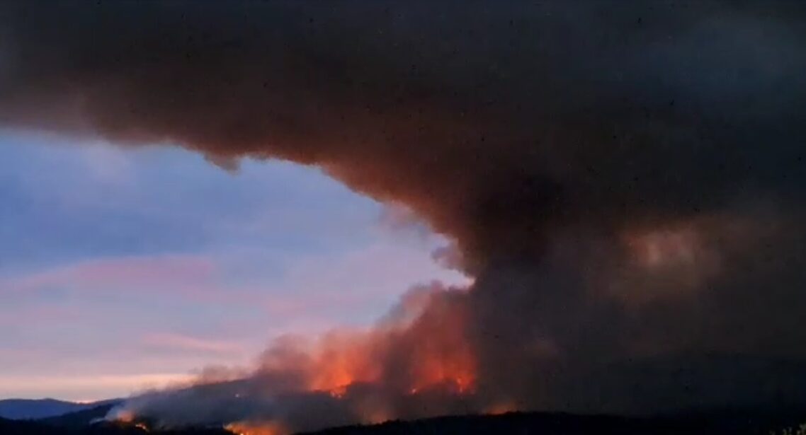 Incendio Forestal en Los Sauces