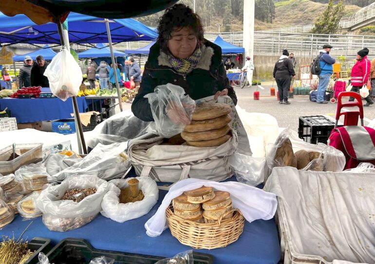 Ferias Libres del Gran Concepción