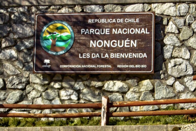 Parque Nonguén carretera eléctrica