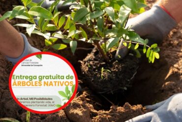 Árboles Nativos UdeC