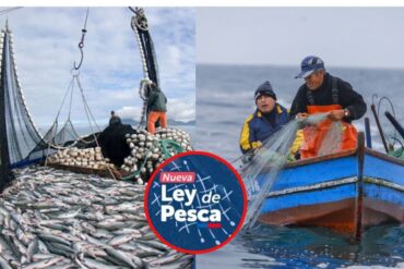 Ley de Fraccionamiento experto