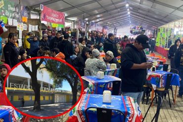Ramadas fiestas patrias