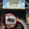 Denuncia Zoológico de Concepción