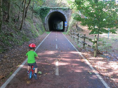 Puente Viejo Ferroviario y Túnel Cerro Chepe